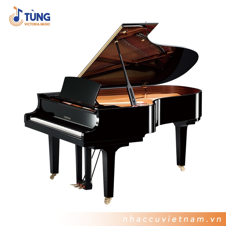 Đàn Piano Cơ Yamaha C5 PE