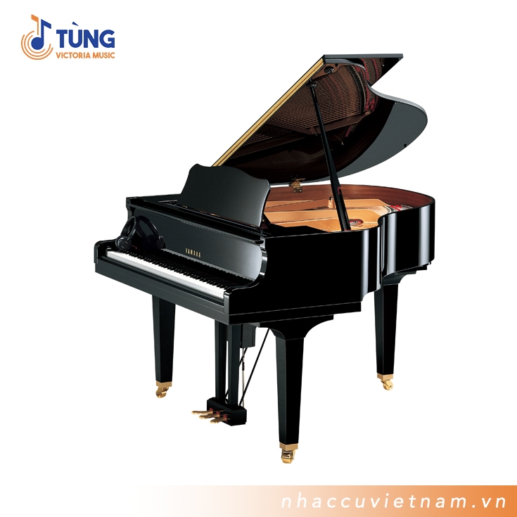 Đàn Piano Cơ Yamaha DGB1KENST PE