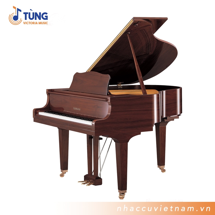 Đàn Piano Cơ Yamaha GB1K PAW