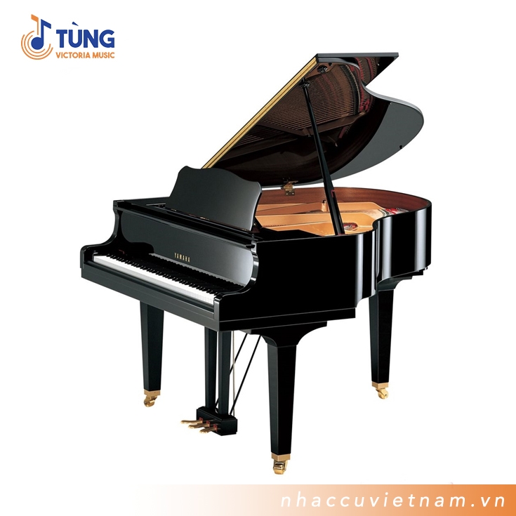 Đàn Piano Cơ Yamaha GB1K PE