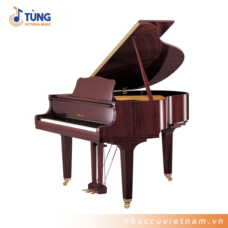 Đàn Piano Cơ Yamaha GB1K PM